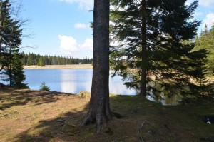 dsc_0940.jpg